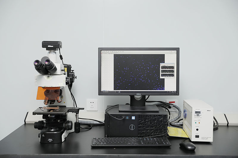 形态学平台_研究级正置荧光显微镜（NIkon Ni-U）.JPG